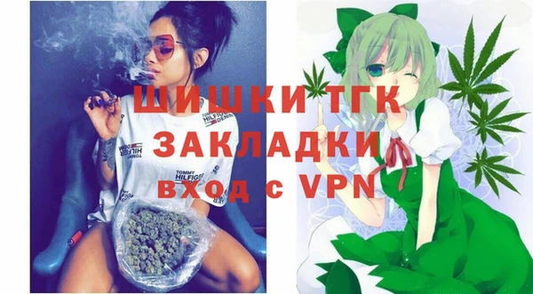 твердый Абаза