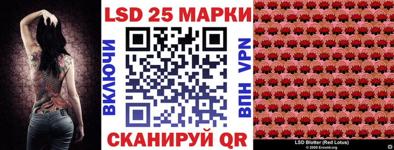 MEGA ССЫЛКА  где можно купить наркотик  Хасавюрт  Марки N-bome 1500мкг 