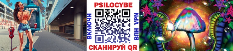Псилоцибиновые грибы Psilocybine cubensis Хасавюрт
