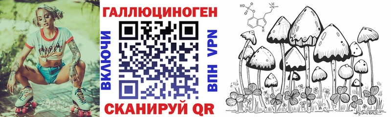omg как зайти  закладка  мориарти наркотические препараты  Галлюциногенные грибы Psilocybe  Хасавюрт 